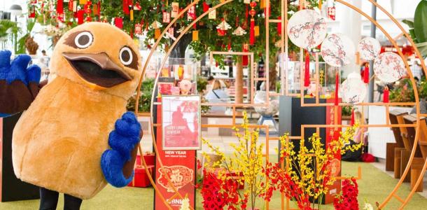 A person dressed in a kookaburra costume next to lunar new year decorations